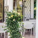 Boutiquehotel Caravella Velden 3*
